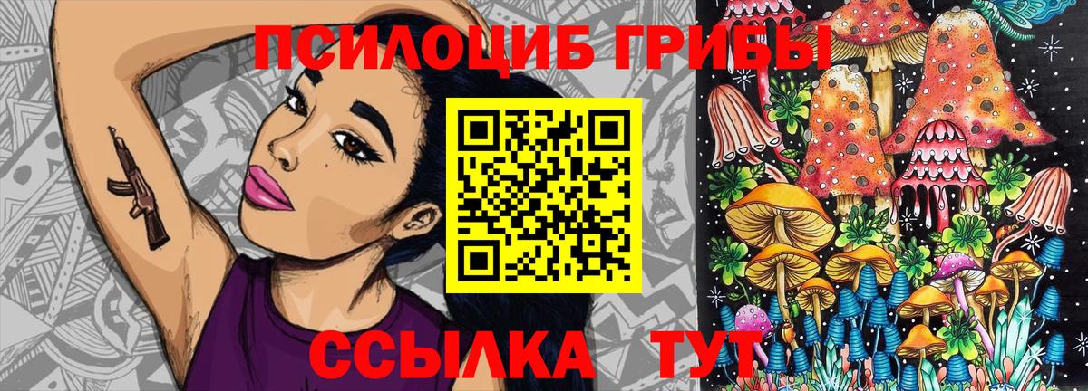 Северобайкальск  Галлюциногенные грибы GOLDEN TEACHER  Вход с VPN 