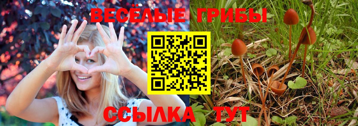 Псилоцибиновые грибы мухоморы Северобайкальск