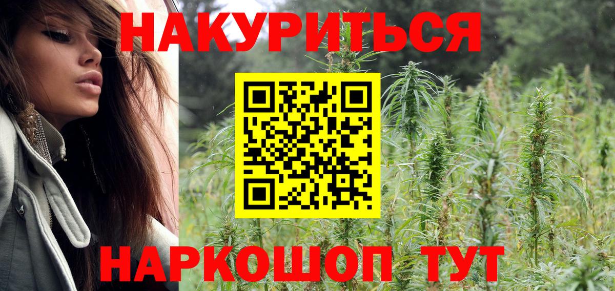 Бошки марихуана планчик Северобайкальск